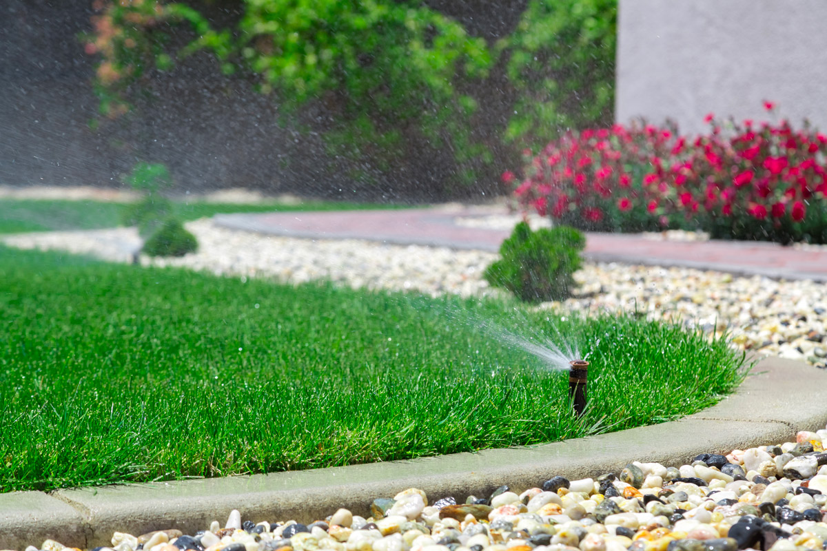 Alcuni consigli per irrigare al meglio, senza sprecare acqua